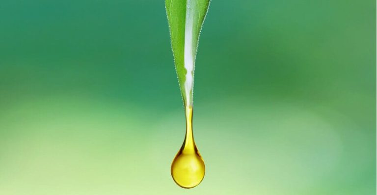 cbd_oil