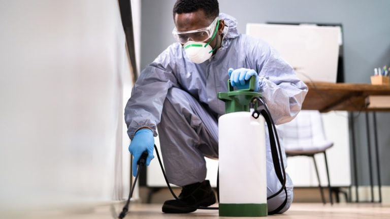 Pest,Control,Exterminator,Man,Spraying,Termite,Pesticide,In,Office
