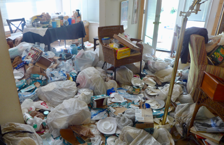 Declutter Your Life with Affordable Junk Removal Services 